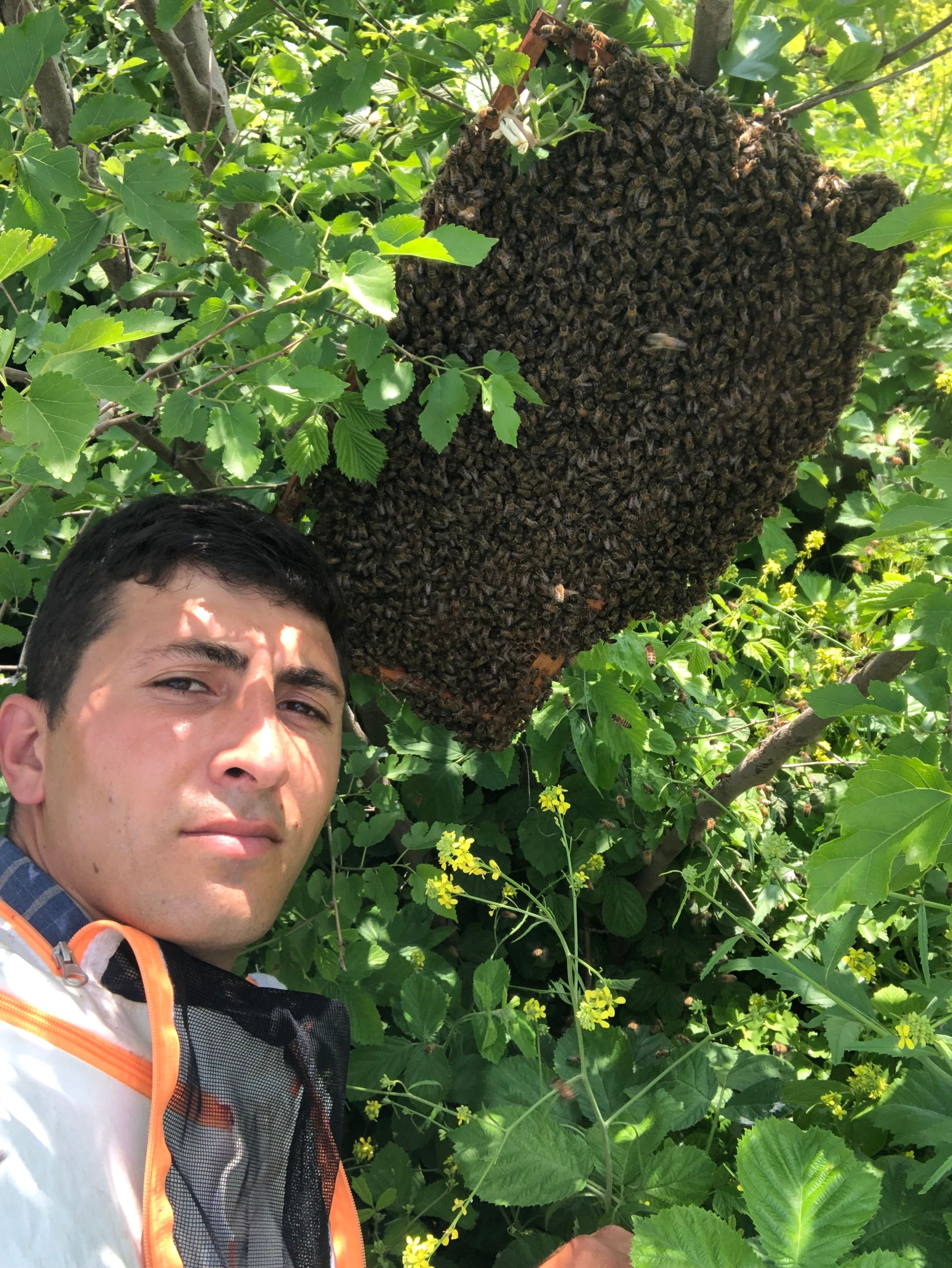Arıcı Mehmet Değirmenci, *** – profil fotoğrafı
