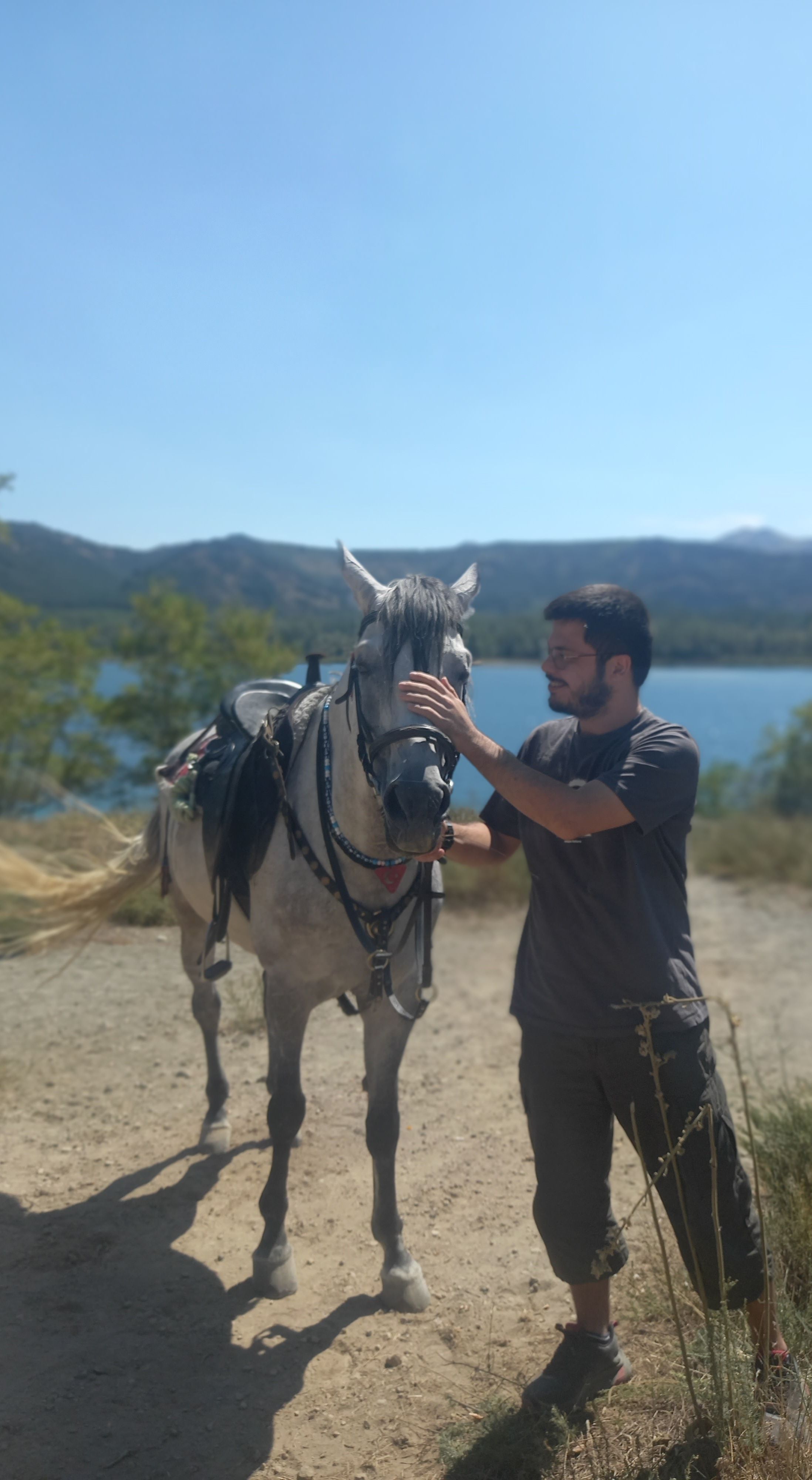 Arıcı Metin Alan, *** – profil fotoğrafı