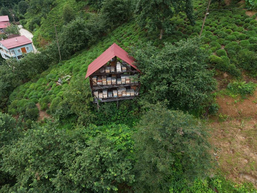Arıcı Varlı ATAGÜN, Rize – profil fotoğrafı