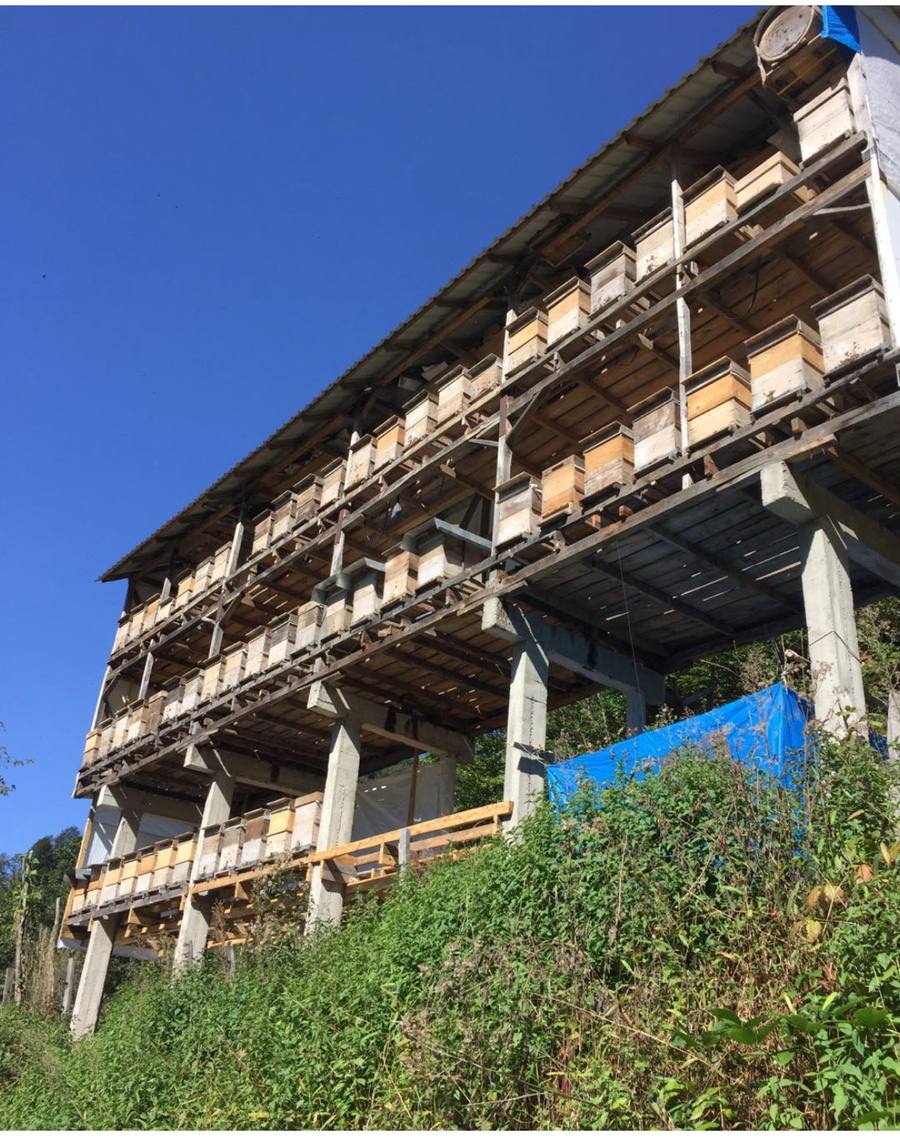 Arıcı Varlı ATAGÜN, Rize – profil fotoğrafı