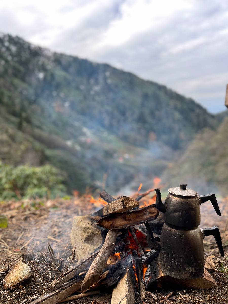 Arıcı Varlı ATAGÜN, Rize – profil fotoğrafı