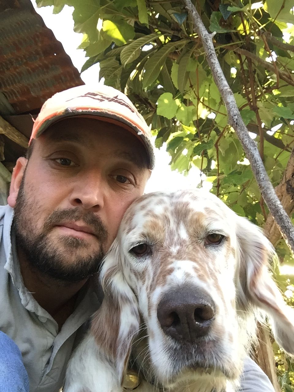 Arıcı Emrullah Güler, Ordu – profil fotoğrafı