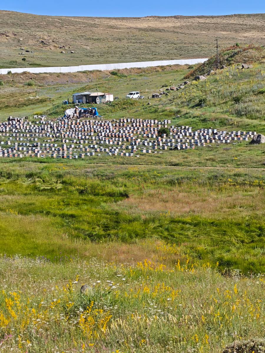 Arıcı Ersin İnan, Erzurum – profil fotoğrafı