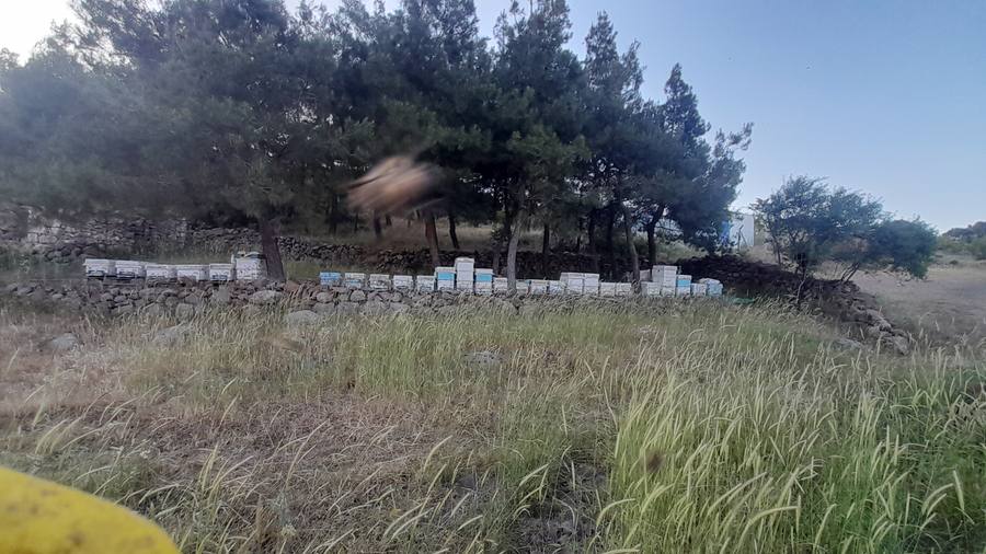 Arıcı Serkan Aygören, Balıkesir – profil fotoğrafı