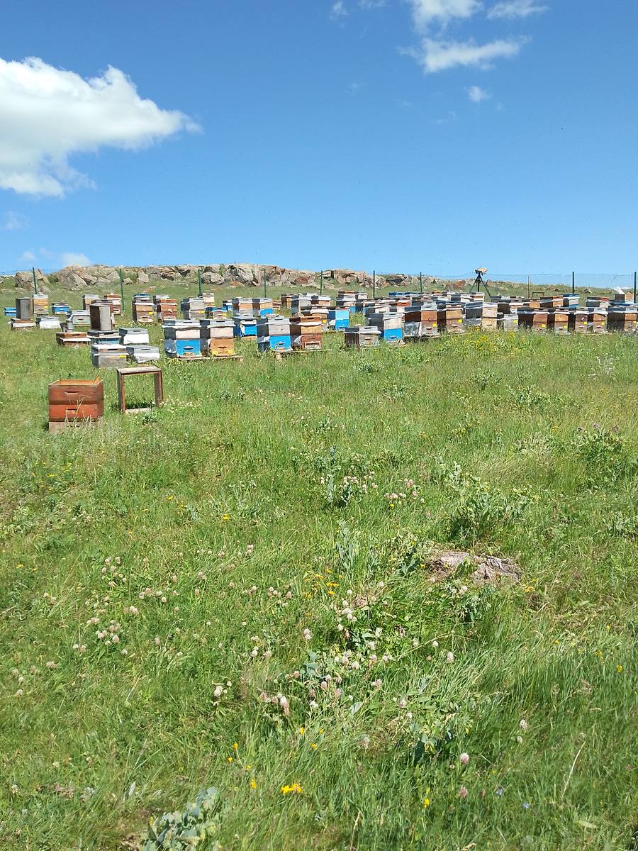 Arıcı Yasin Ateş, Kars – profil fotoğrafı