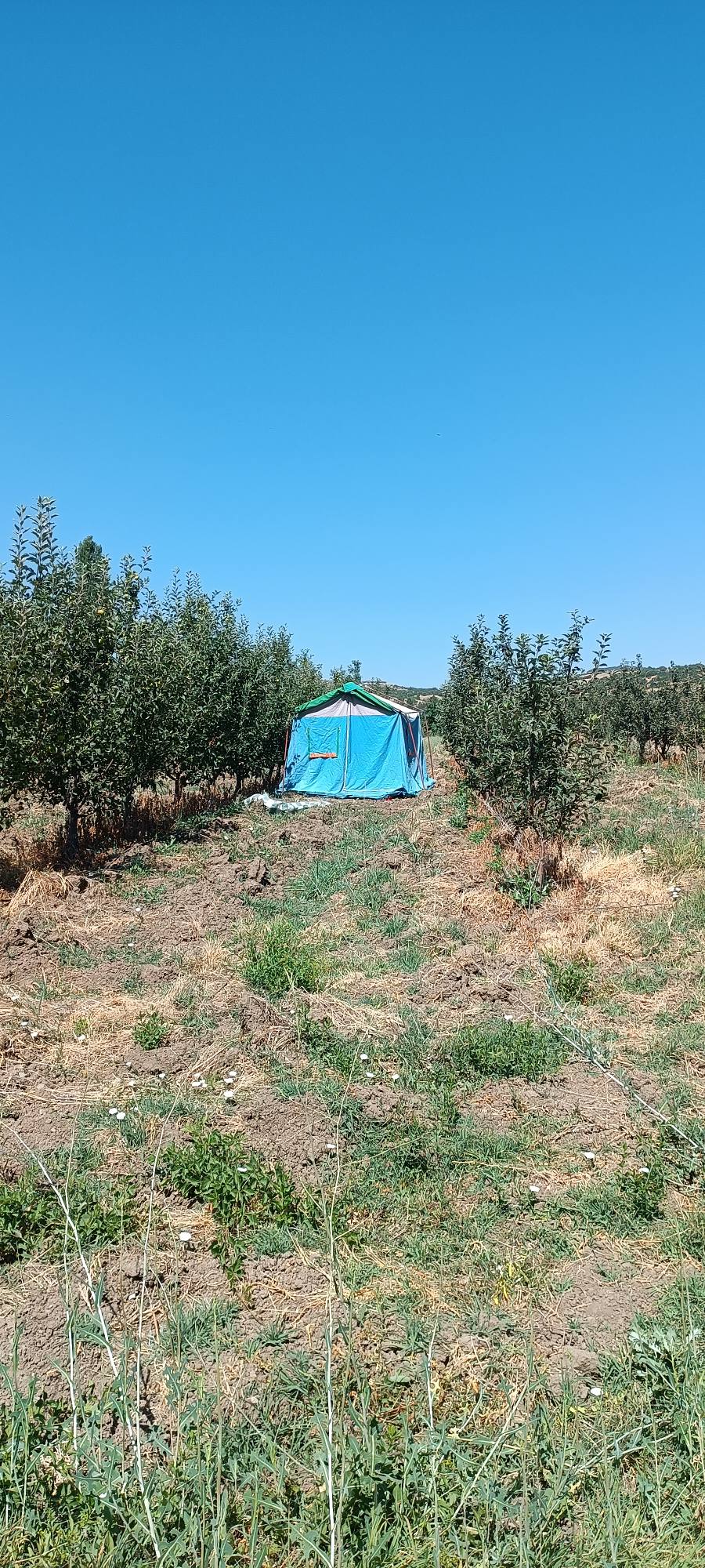Arıcı Resul Akdeniz, Osmaniye – profil fotoğrafı