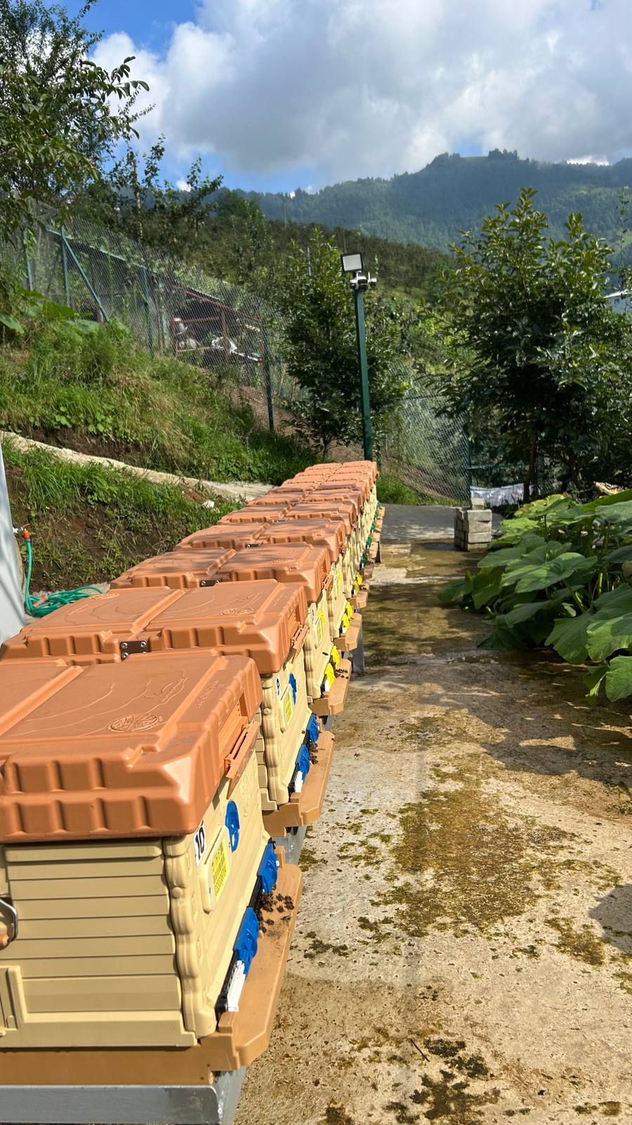 Arıcı Orhan Birinci, Trabzon – profil fotoğrafı