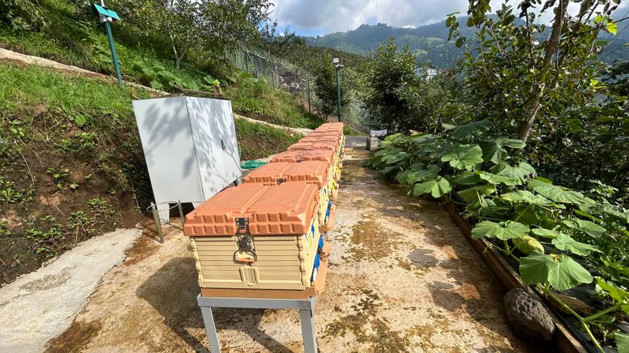 Arıcı Orhan Birinci, Trabzon – profil fotoğrafı