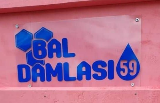 Arıcı Sabriye ALBAK, *** – profil fotoğrafı