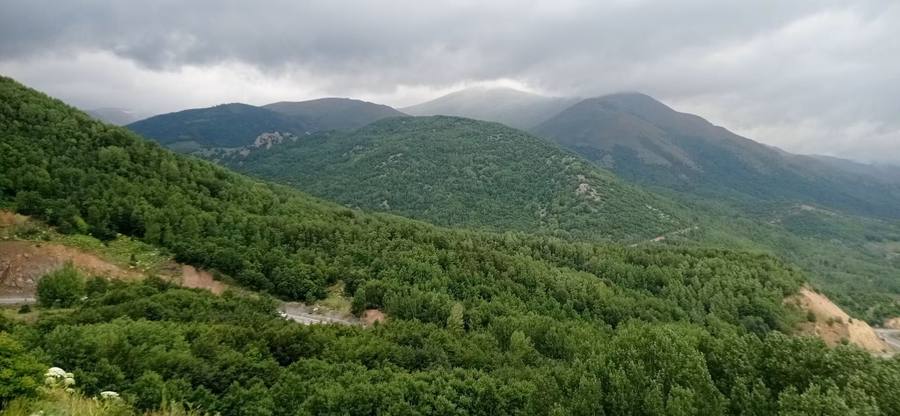 Arıcı Yılmaz Arslan, Sivas – profil fotoğrafı