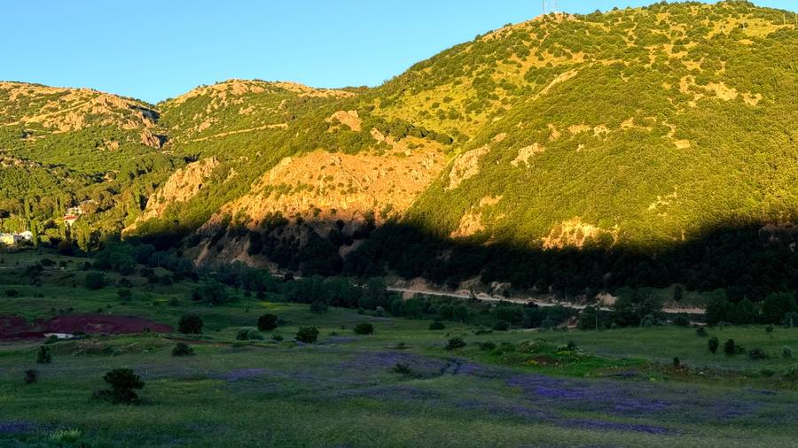 Arıcı Yılmaz Arslan, Sivas – profil fotoğrafı