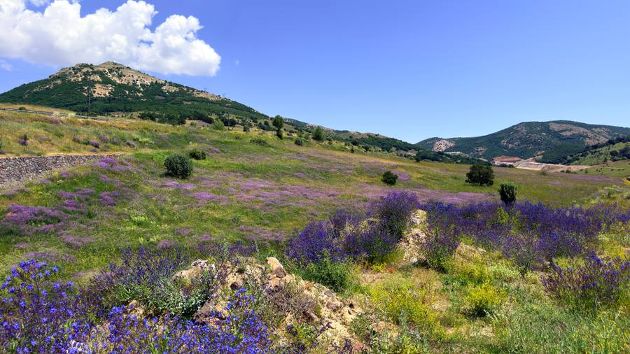 Arıcı Yılmaz Arslan, Sivas – profil fotoğrafı