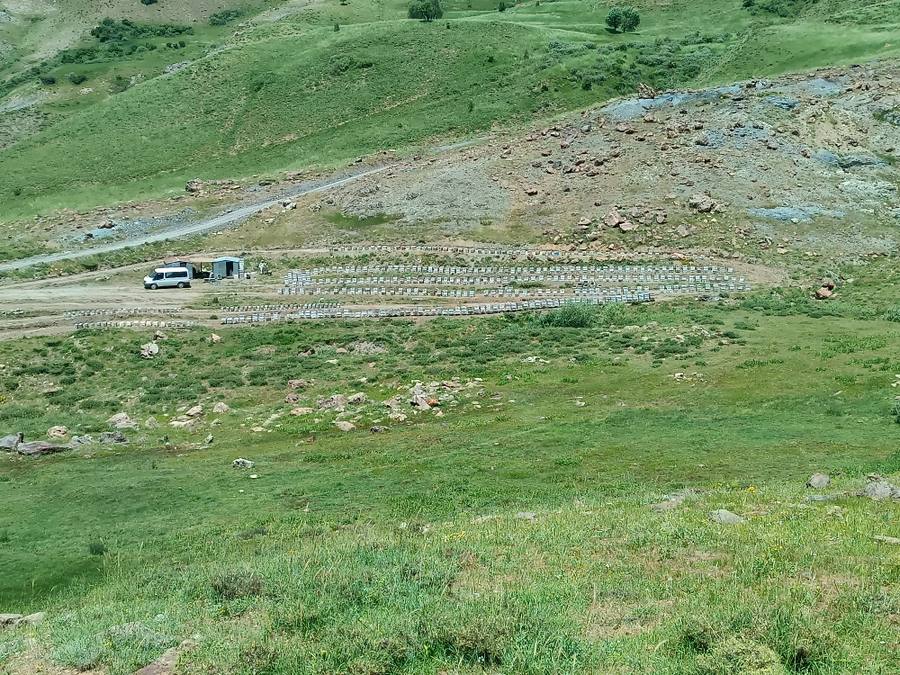Arıcı Bedrettin Kartal, *** – profil fotoğrafı