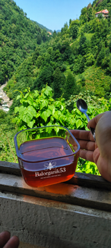 Rize Kestane Balı kg Cam Kavanoz – Arıcı Varlı ATAGÜN – ürün fotoğrafı 6/6