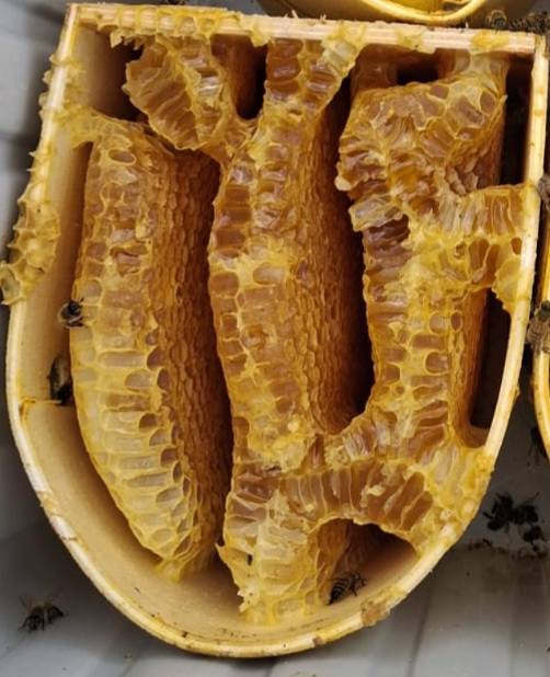 Sivas Çiçek Balı kg petek – Arıcı Muharrem Yeşilyurt