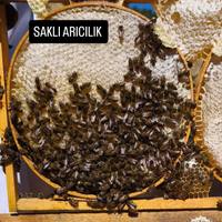 Bitlis Çiçek kg petek – Arıcı Çetin Sakl – ürün fotoğrafı 3/4