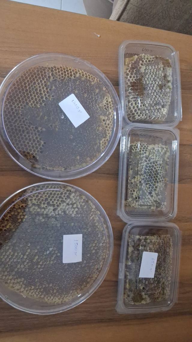 Balıkesir Karaçalı balı tamamen doğal karakovan kg petek – Arıcı Serkan Aygören