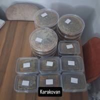 Balıkesir Karaçalı balı tamamen doğal karakovan kg petek – Arıcı Serkan Aygören – ürün fotoğrafı 2/3