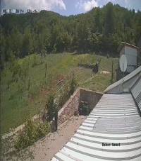 Kocaeli Kestane Balı kg Cam Kavanoz – Arıcı Mevlüt Gökçe – ürün fotoğrafı 3/5