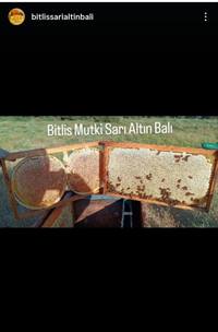 Bitlis Geven kekik poliflora kg Cam Kavanoz – Arıcı Ceylan Ceylan – ürün fotoğrafı 4/5