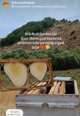 Bitlis Geven kekik poliflora kg Cam Kavanoz – Arıcı Ceylan Ceylan – ürün fotoğrafı 5/5