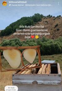 Bitlis Geven kekik poliflora kg Cam Kavanoz – Arıcı Ceylan Ceylan – ürün fotoğrafı 5/5