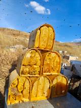 Erzurum Cicek kg petek – Arıcı Ersin İnan – ürün fotoğrafı 3/5